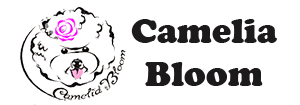 Лого питомника Camelia Bloom